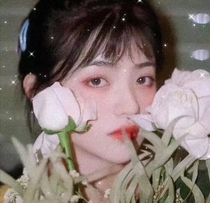 罪恶黑名单第五季